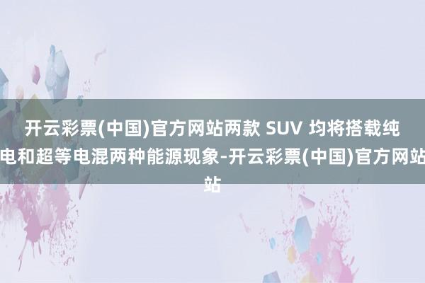 开云彩票(中国)官方网站两款 SUV 均将搭载纯电和超等电混两种能源现象-开云彩票(中国)官方网站